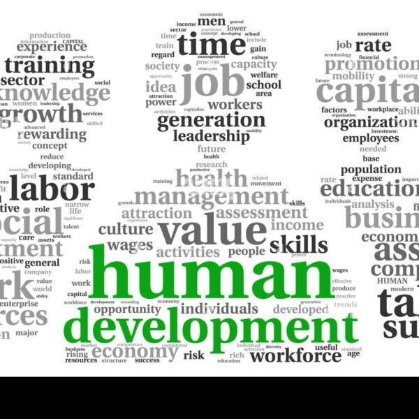 Development Structuring