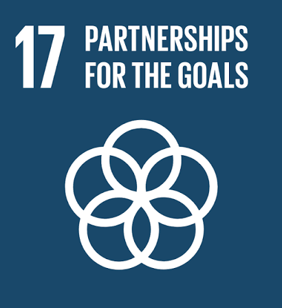 SDG17