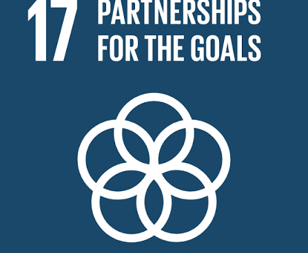 SDG17